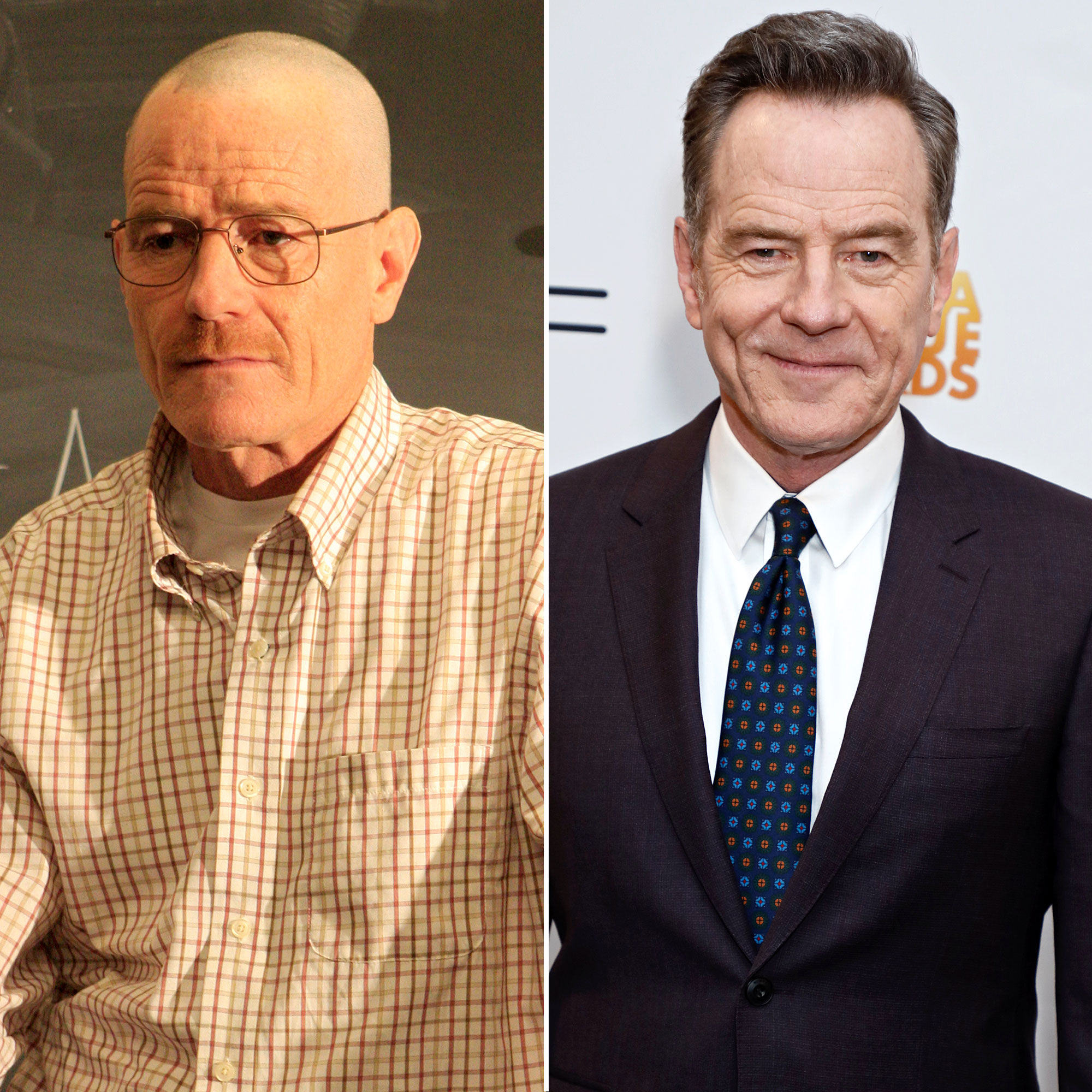 BREAKING BAD TV SHOW FULL CAST DRAMATIC ACTORS COLLAGE  PUBLICITY PHOTO